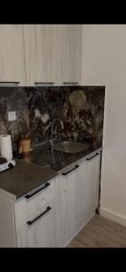 a kitchen with a sink and a counter top at Lupo in Budva +24 photos