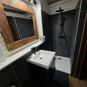 a bathroom with a sink and a mirror and a shower at Domaine du Val in Vieux-Habitants +17 photos