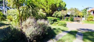 a garden with a palm tree and some bushes at Chalet para desconectar in Piriápolis +10 photos