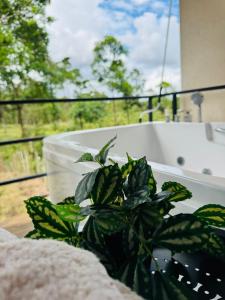 a plant sitting on a balcony next to a bath tub at Cabañas La Hermosa #2 in Guápiles +27 photos