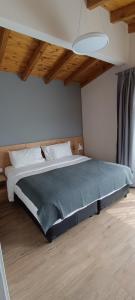 a bedroom with a large bed in a room at Panorama Aparts Chalten in El Chalten