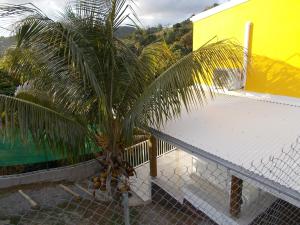 a palm tree next to a fence next to a building at Frédovacances logement iGloo-LOVE in Rivière-Pilote
