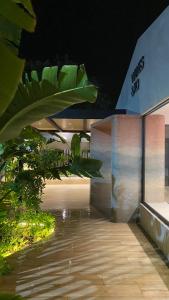 eine Lobby eines Gebäudes mit Pflanzen und Lichtern in der Unterkunft Waves & Ko in San Andrés