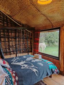 a bed in a room with a cow outside a window at COTOPAXI Wasi Andina Lodge in Latacunga