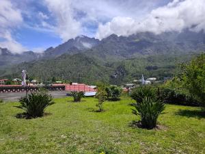 a field of grass with mountains in the background at La villa Madelon in Cilaos