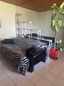 a zebra print bed in a bedroom with a plant at Alquiler temporal in Plottier