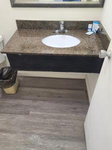 a bathroom counter with a sink and a mirror at Relax Inn And Suites in El Cajon