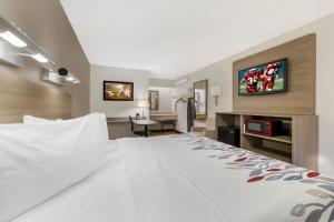 a hotel room with a large bed and a tv at Red Roof Inn Buffalo - Niagara Airport in Williamsville
