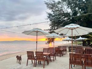 a dog standing on a beach with chairs and umbrellas at Baan Phakdee in Ban Phlong Takhe