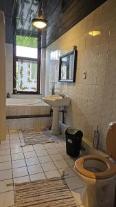 a bathroom with a toilet and a sink and a tub at Charlemagne house in Liège +54 photos