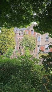 a building in the background with trees in the foreground at Charlemagne house in Liège