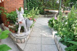 Zahrada ubytování Apartments Josip