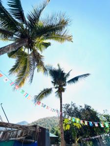 a palm tree and a string of flags at Whatsup pai in Pai