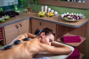 Lázně a/nebo wellness v ubytování Hotel Alexander