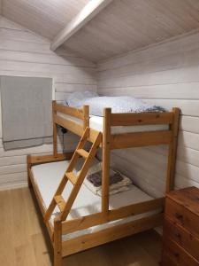 a bunk bed with a ladder in a room at Lyngen Alps Cabin with Sauna, Northern Lights & Ski Touring, 1h from Tromsø in Indre Tomasjord