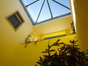 a skylight in a yellow room with a plant at Hotel Airone in Trinitapoli