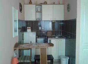 Kuchyň nebo kuchyňský kout v ubytování Guest House Dunavski Raj
