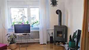 a living room with a fireplace and a television at FeWo Sartorius am Hemsberg in Bensheim