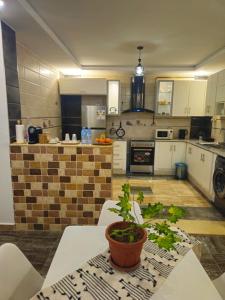a kitchen with a table with a plant on it at Beau F3 in Dar el Beïda