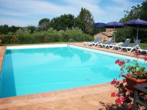 una gran piscina con sillas y sombrillas en Agriturismo POGGIO PORSENNA - con piscina, en Proceno