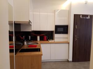 Kuchyňa alebo kuchynka v ubytovaní Apartamenty Wierzbowa 5