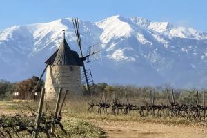 a windmill in front of a snow covered mountain at Pitaya in Claira