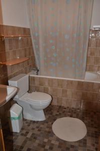 ein Bad mit einem WC und einem Duschvorhang in der Unterkunft Immeuble Les Aiglons in Les Collons