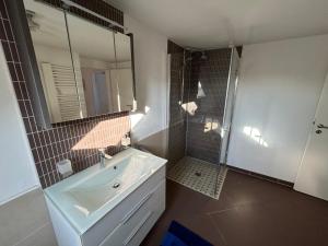a bathroom with a white sink and a shower at XL Apartment Rödermark 4SZ in Rödermark
