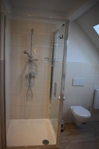 a bathroom with a shower and a toilet at Ferienwohnung 1 in Roggentin +23 photos