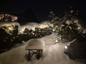 a bench covered in snow in a garden at night at Domek u Małysza in Istebna