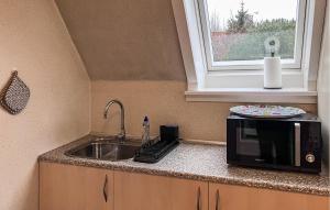 a kitchen counter with a sink and a microwave at Amazing Apartment In Hundested With Wifi in Hundested