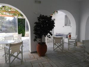 eine Terrasse mit Tischen und Stühlen und einer Topfpflanze in der Unterkunft Roussos Beach Hotel in Naoussa