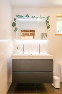 a bathroom with a sink and a mirror at Chalet Citola in Nuenen +34 photos
