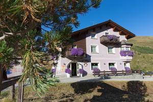 Příroda nedaleko bed and breakfast