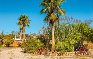 two red bikes parked next to palm trees at Holiday Home Finca Ses Tanques in Algaida