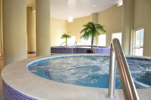 a large hot tub in a hotel room with palm trees at Panorama Hotel in Águas de Lindoia