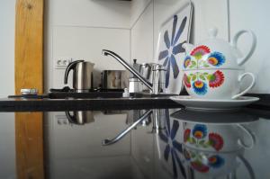 Kuchyňa alebo kuchynka v ubytovaní Apartament Ariańska