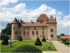 a large castle sitting on top of a lush green field at Villa L'Hermitière - 4 étoiles in Oytier-Saint-Oblas
