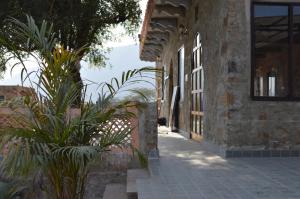 an alley with plants in front of a building at Bagh Ajabgarh in Ajabgarh +19 photos