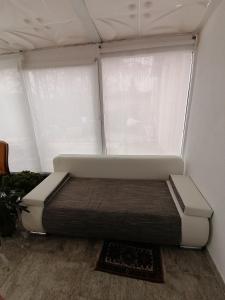 a bed in a room with a large window at Kleines Haus im Oderbruch in Neutrebbin +4 photos