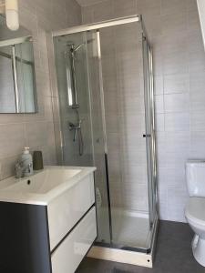 a bathroom with a shower and a sink and a toilet at Joli duplex rénové in Nevers
