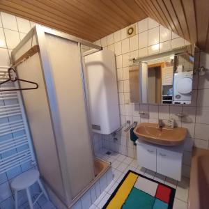 a small bathroom with a shower and a sink at Seekirchen Zentrum in Seekirchen am Wallersee +10 photos
