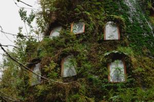 山林小屋周边自然景观