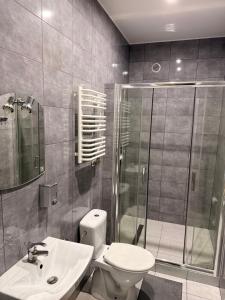 a bathroom with a shower and a toilet and a sink at Noclegi Adriana Kacperska in Tuszyn