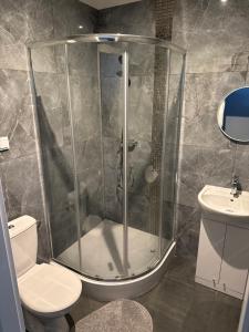 a bathroom with a shower and a toilet at Noclegi Adriana Kacperska in Tuszyn