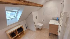 an attic bathroom with a toilet and a sink at Large Private Room Near Colmar Center with Free Public Parking in Colmar