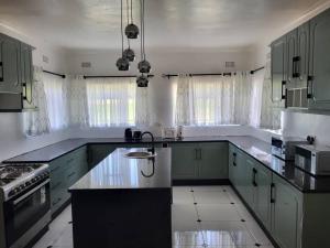 a large kitchen with green cabinets and a sink at Familyfriendlyhome4u in Bulawayo