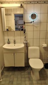 a bathroom with a toilet and a sink and a mirror at Rivitalo kylpylän lähellä in Kilvakkala +8 photos