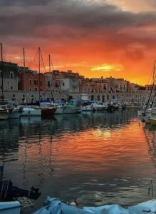 a group of boats in a harbor at sunset at Levante al porto in Bisceglie