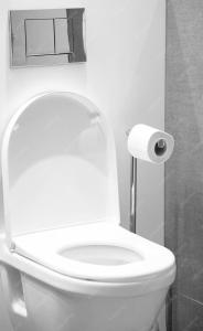 a white toilet in a bathroom with a roll of toilet paper at Gardenhouse with private jacuzzi & private sauna in Teteringen +28 photos